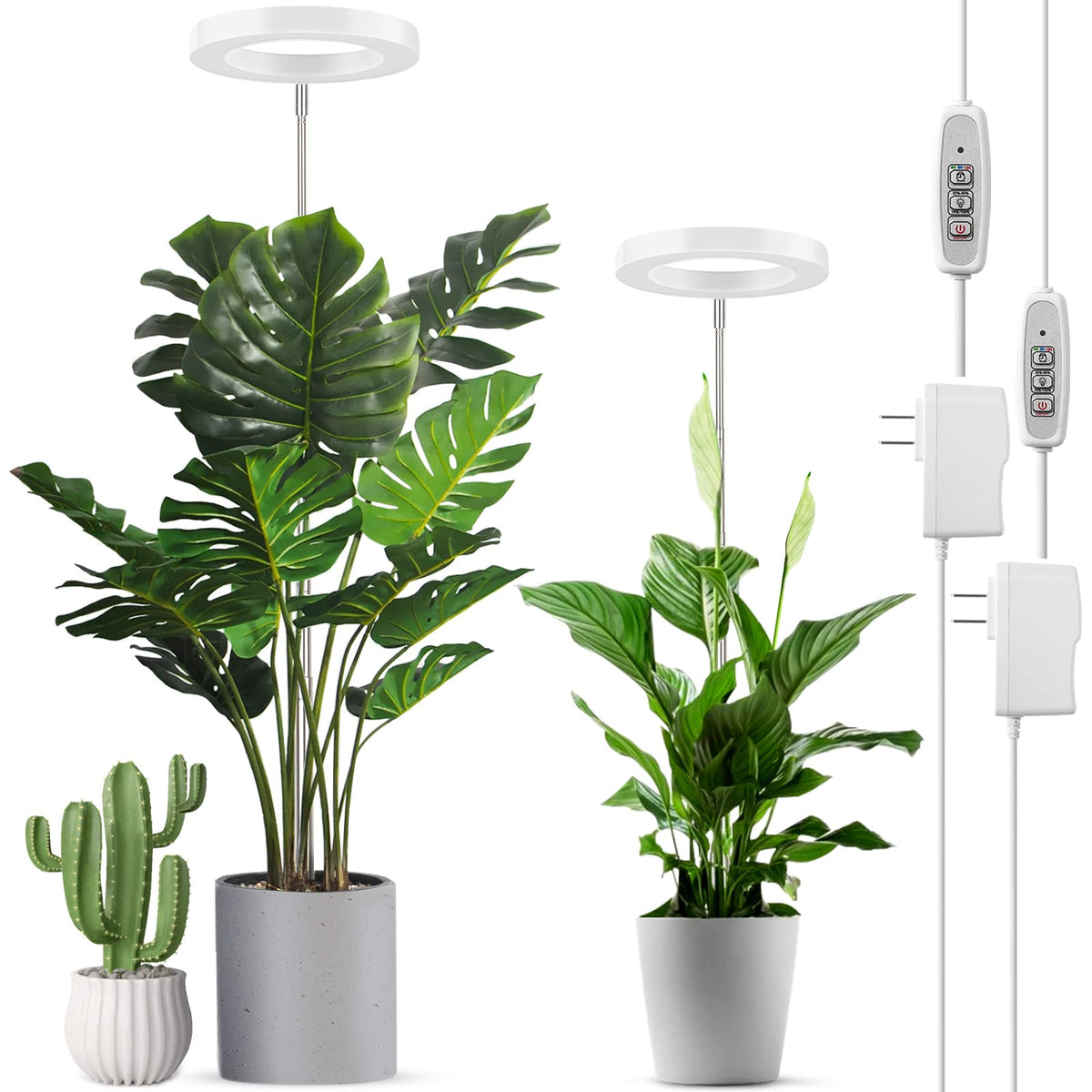 LORDEM full-spectrum LED grow light pair supporting versatile indoor plant growth