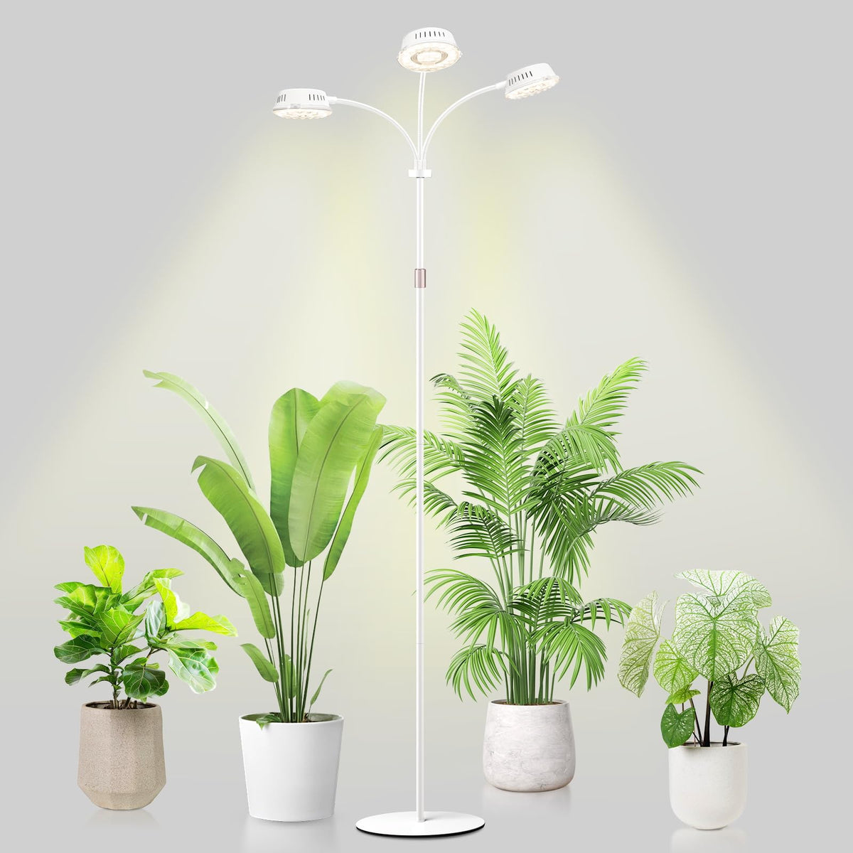 LORDEM full-spectrum plant light with three heads on a stand for indoor growing
