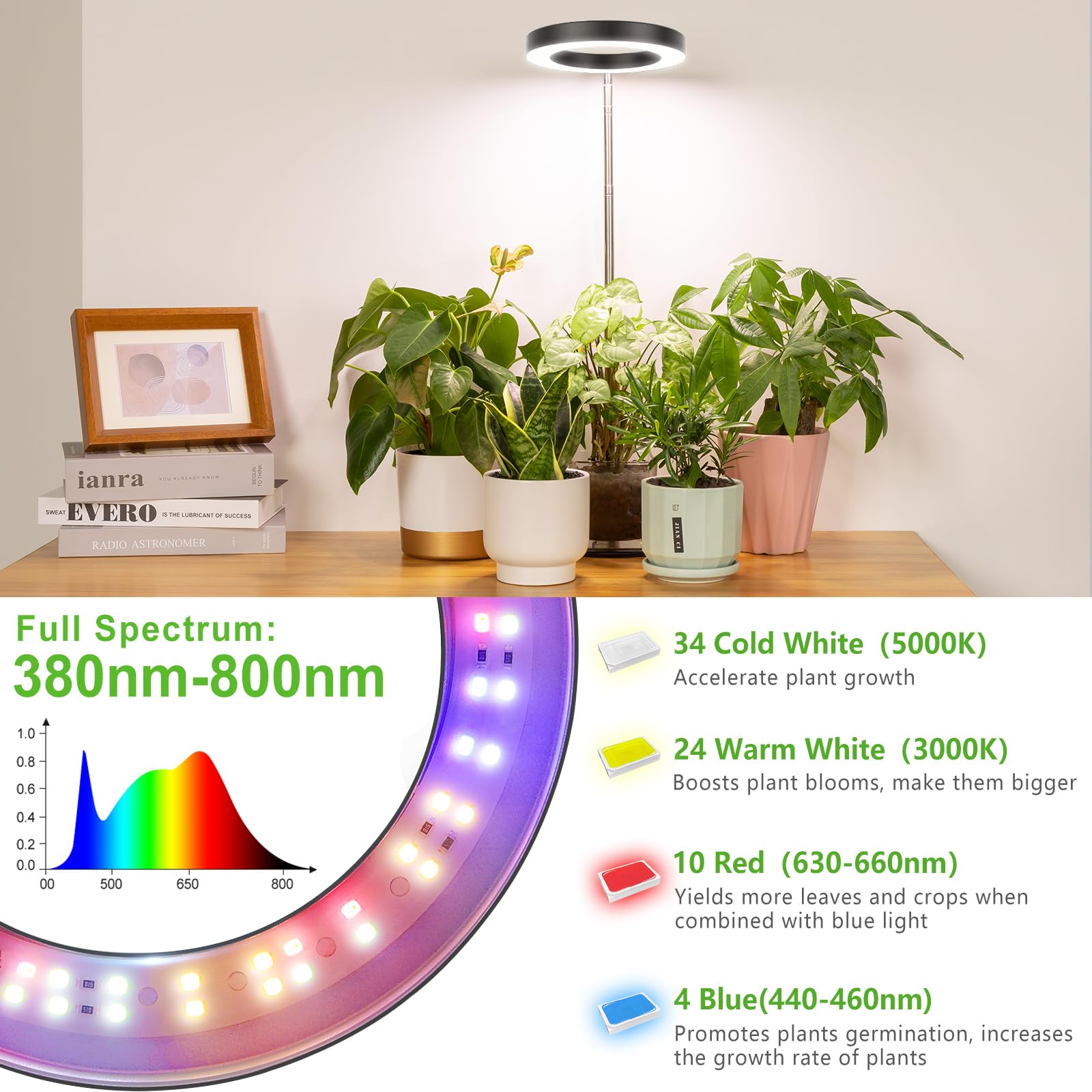 LORDEM desk-plant-lamp fits on office desks without clutter.