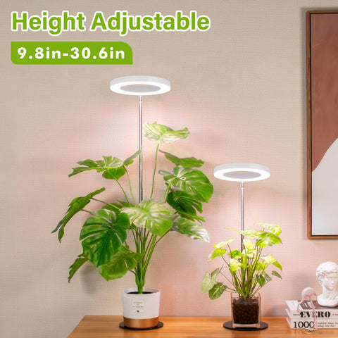 LORDEM Grow Light mounted on a desk setup for office plants