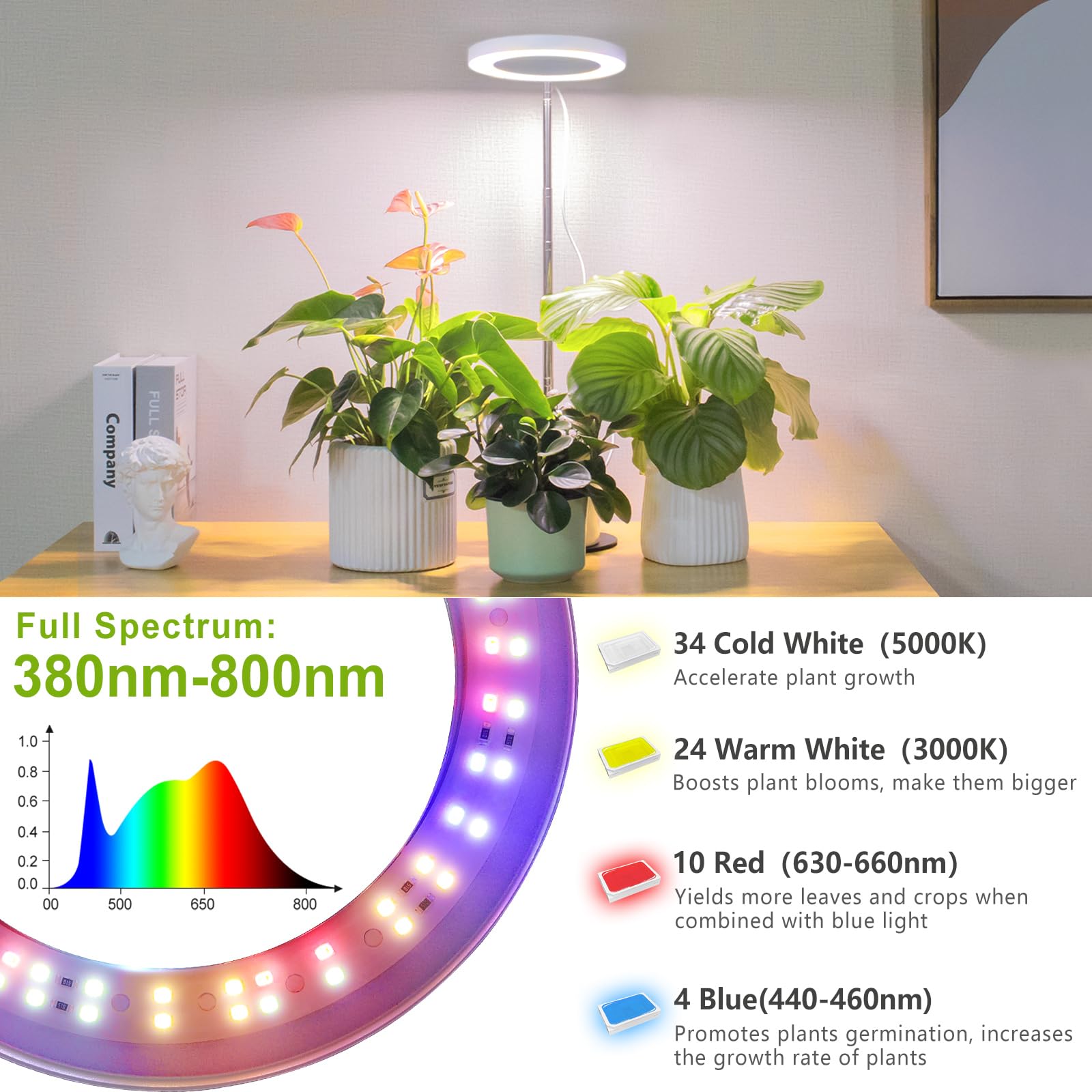 LORDEM compact design suits desks, shelves, and small plant setups