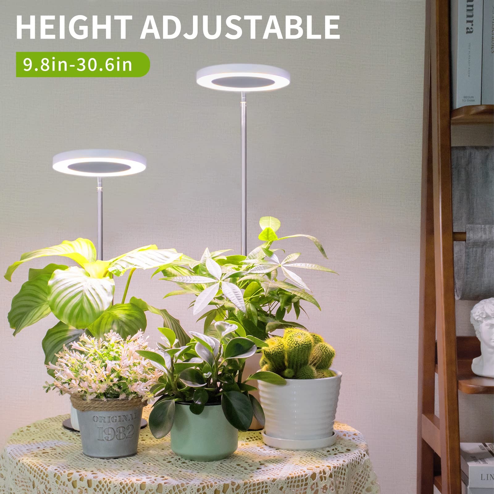 LORDEM full-spectrum LED delivers natural-like light for thriving indoor greens