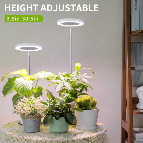 LORDEM full-spectrum LED delivers natural-like light for thriving indoor greens