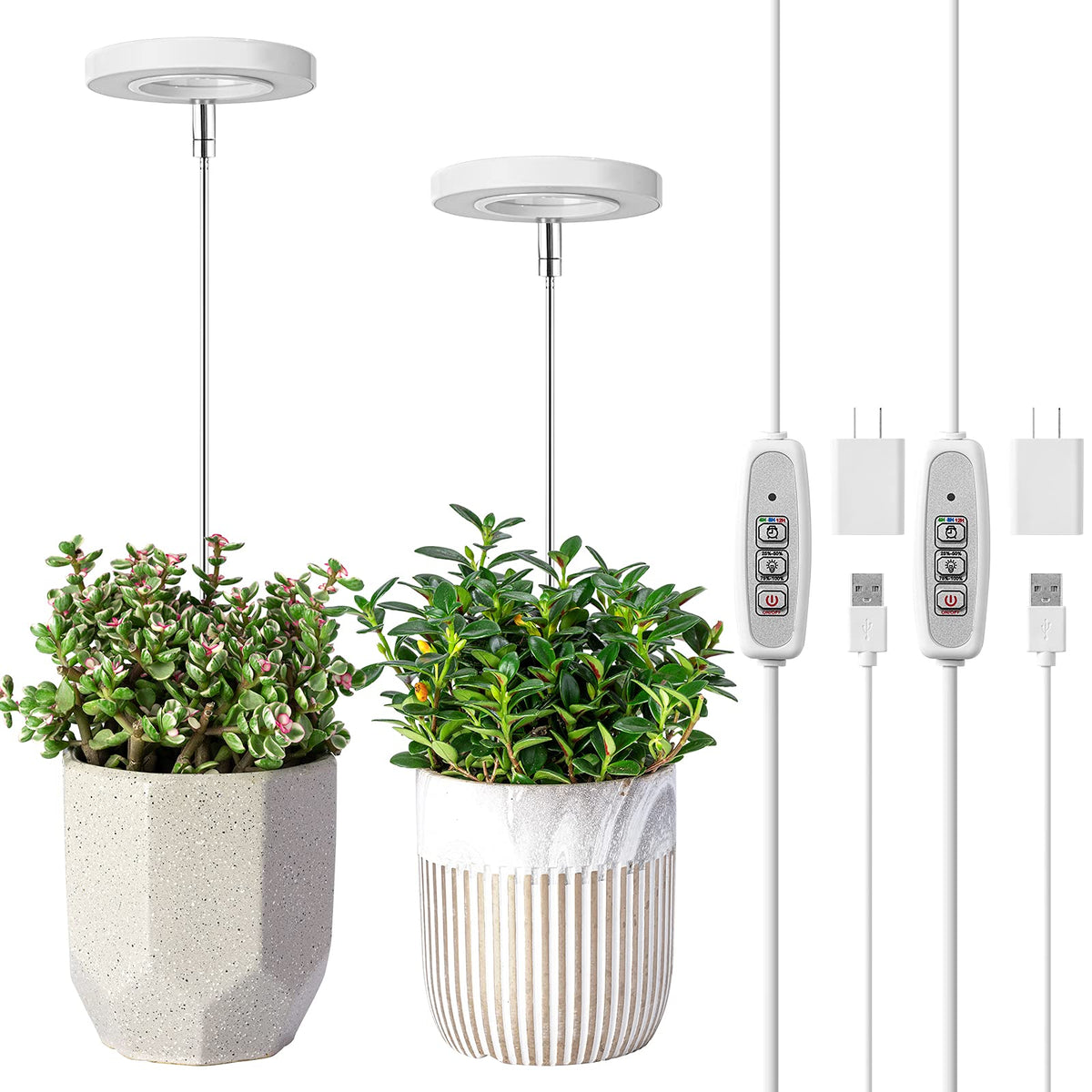 LORDEM Grow Light halo design for aesthetic display and plant growth support
