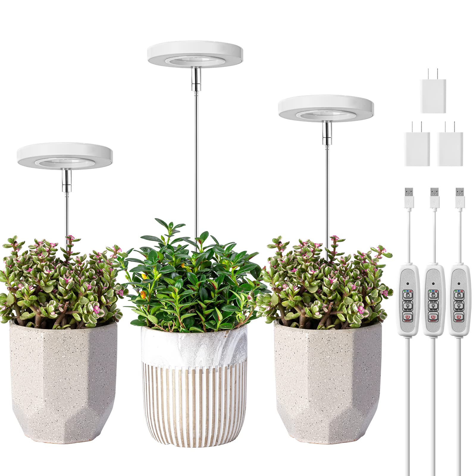 LORDEM grow light with halo design enhances home plant aesthetics and growth.