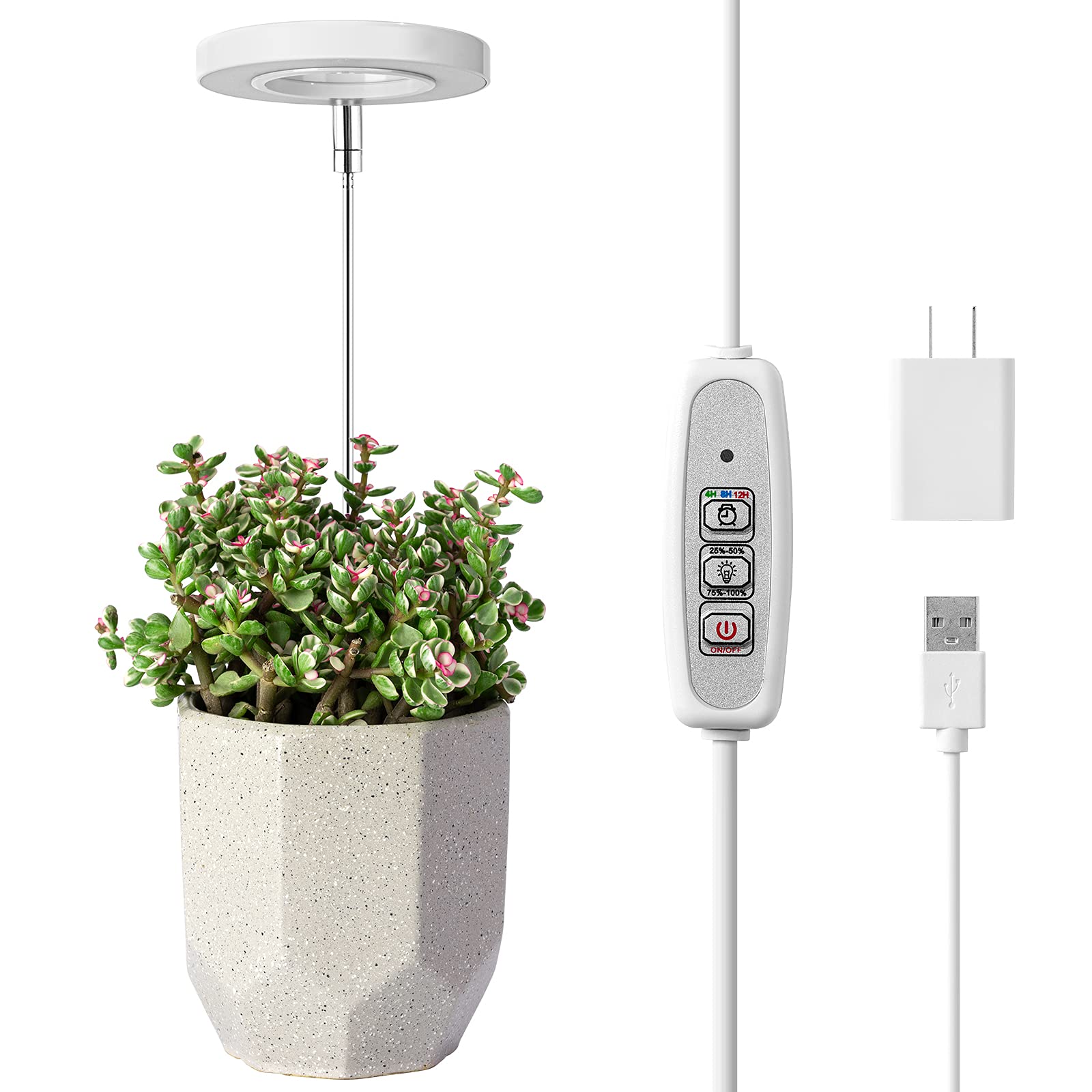 LORDEM Grow Light halo design enhances decor while supporting indoor plant growth