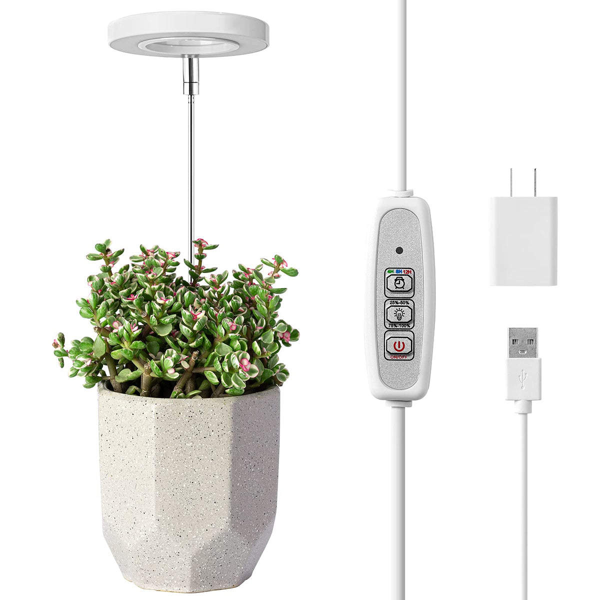 LORDEM Grow Light halo design enhances decor while supporting indoor plant growth