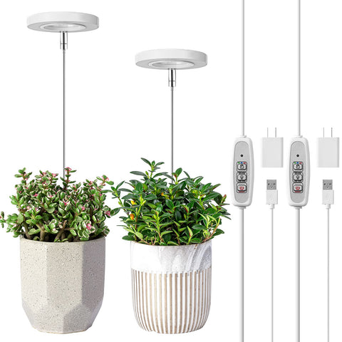LORDEM Grow Light halo design for aesthetic display and plant growth support