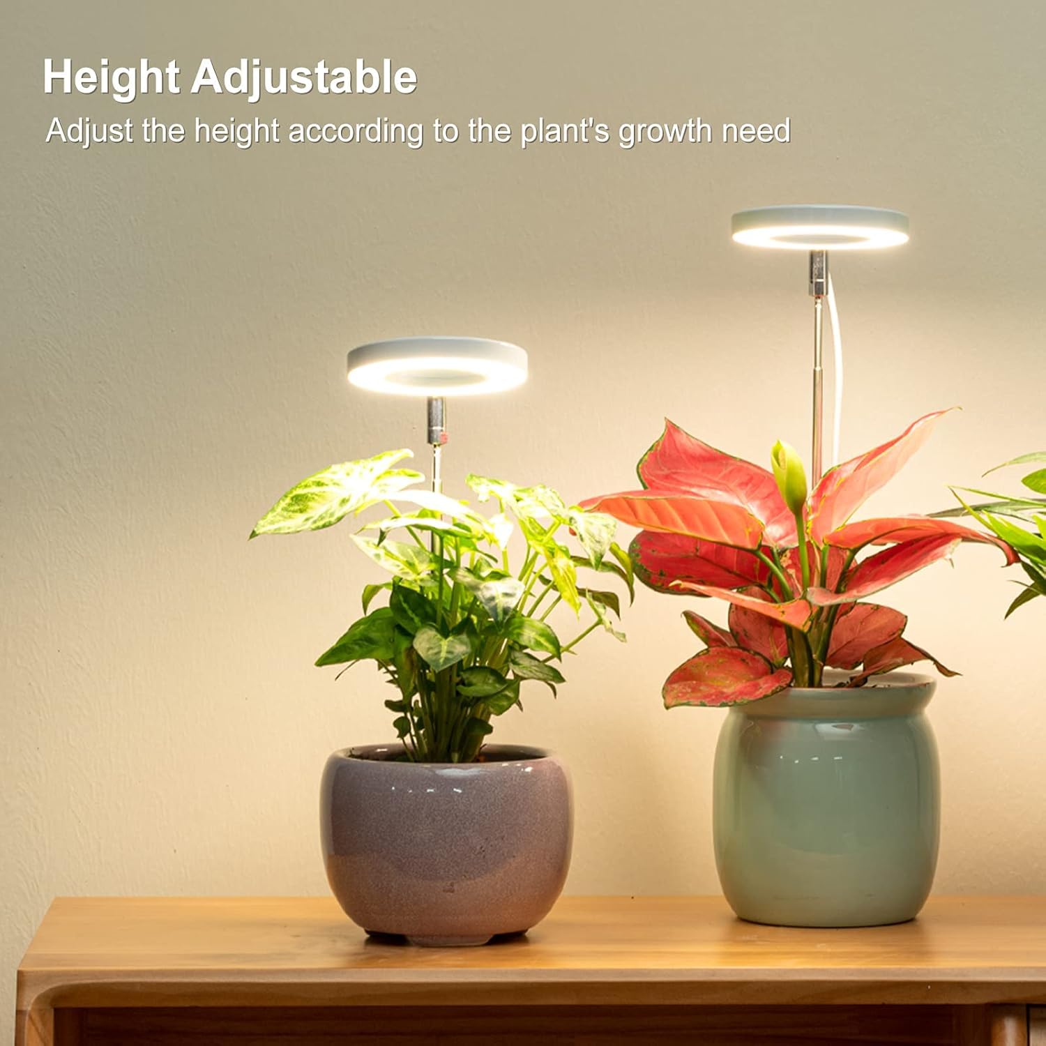 LORDEM Grow Light height-adjustable setup fits various plant sizes