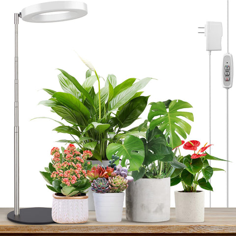 LORDEM Grow Light with stable base supports desk plant setups