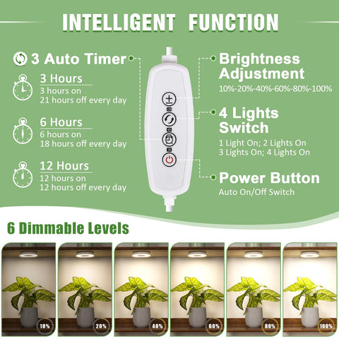 LORDEM Halo Grow Light timer interface illustrating auto on/off cycle