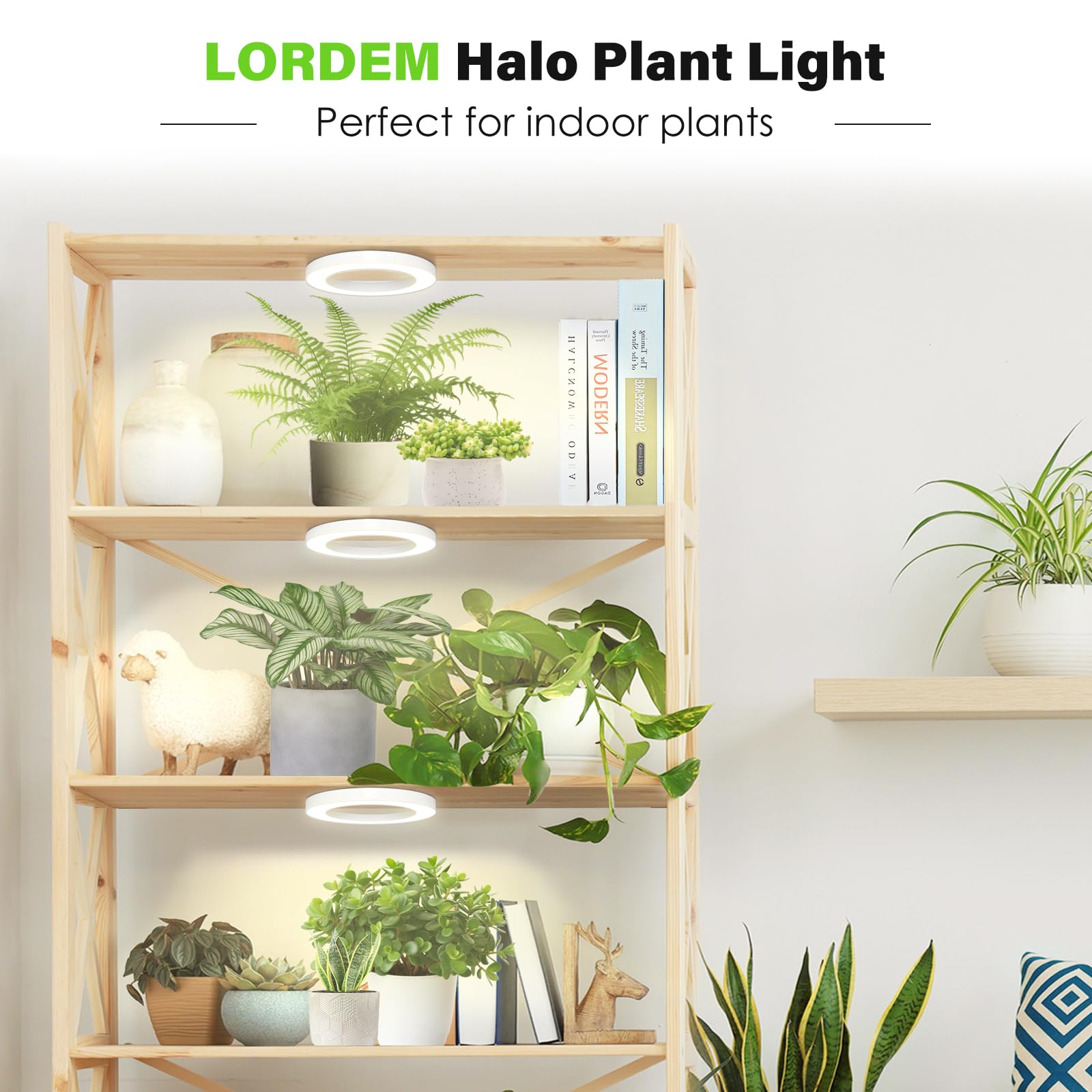 LORDEM auto-timer halo light enabling 4/8/12 hour cycles.