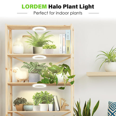 LORDEM auto-timer halo light enabling 4/8/12 hour cycles.