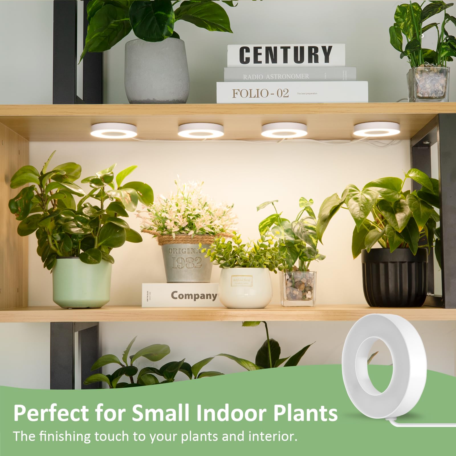 Compact circular design of LORDEM Halo Grow Light for small pots