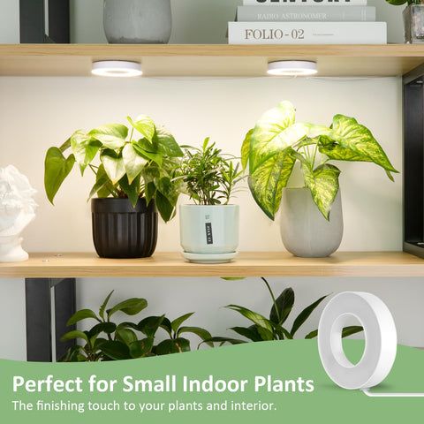 Compact diameter halo light fits tight spaces over small pots
