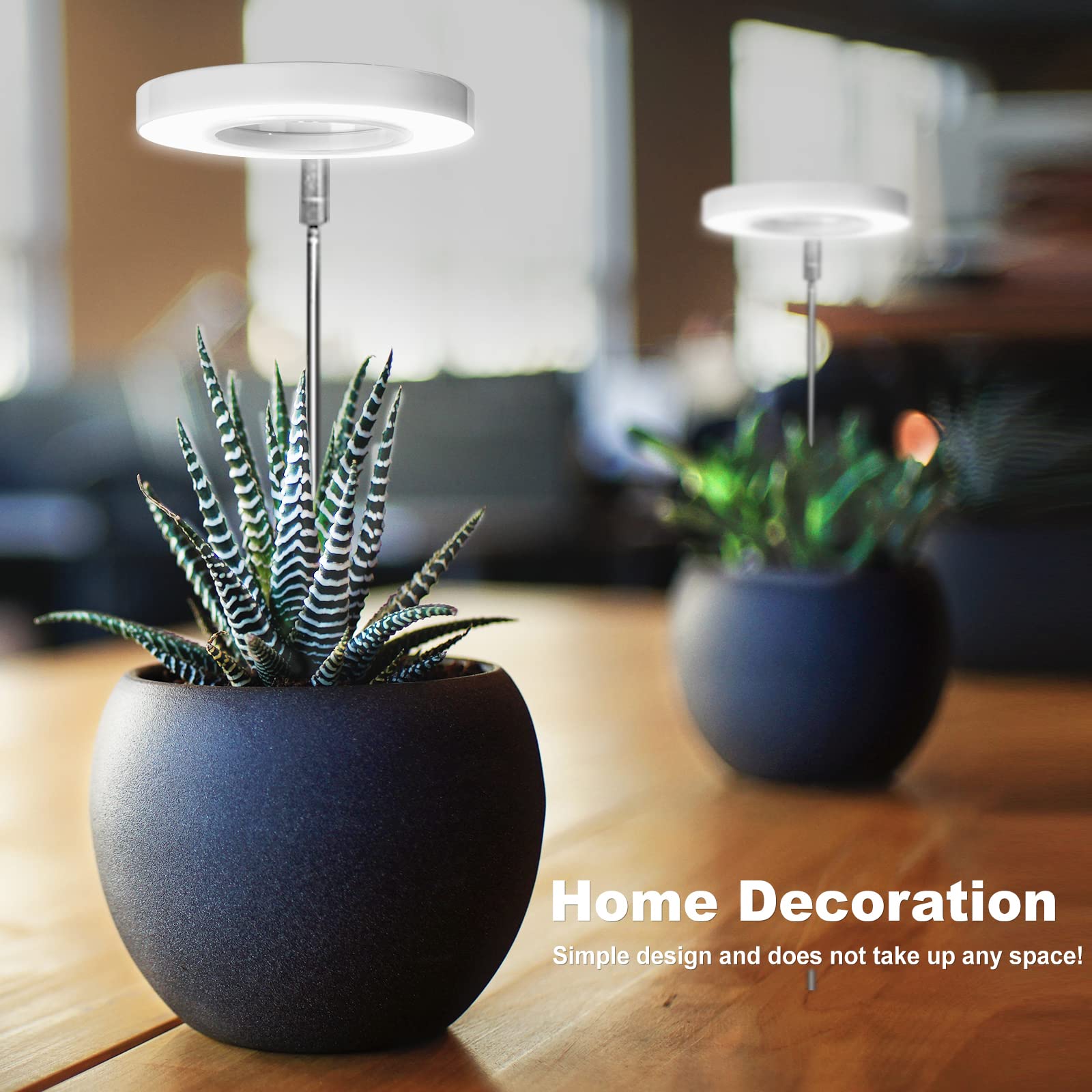 LORDEM height-adjustable design fits different plant heights.