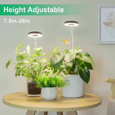 LORDEM Plant Grow Light full-spectrum glow supports indoor photosynthesis.