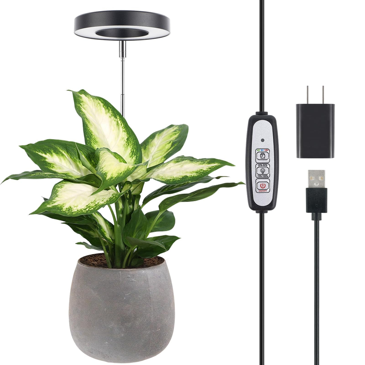 LORDEM Plant Grow Light halo design enhances decorative appeal while supporting growth.