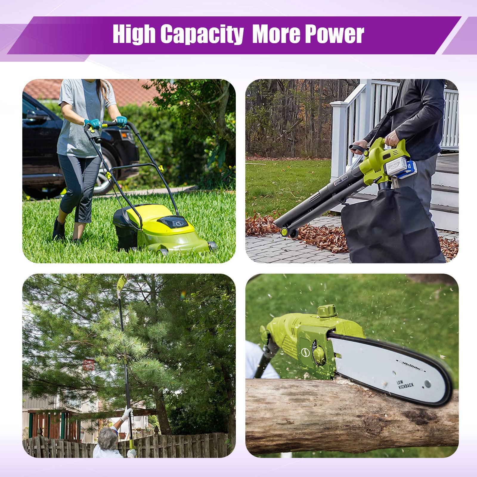 Lordone 12-month warranty complements the two-pack option.