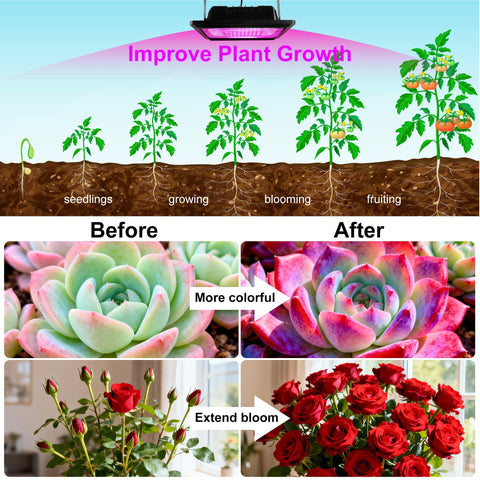 Loscarol solar grow light adjustable brightness tailors lighting for seedlings.