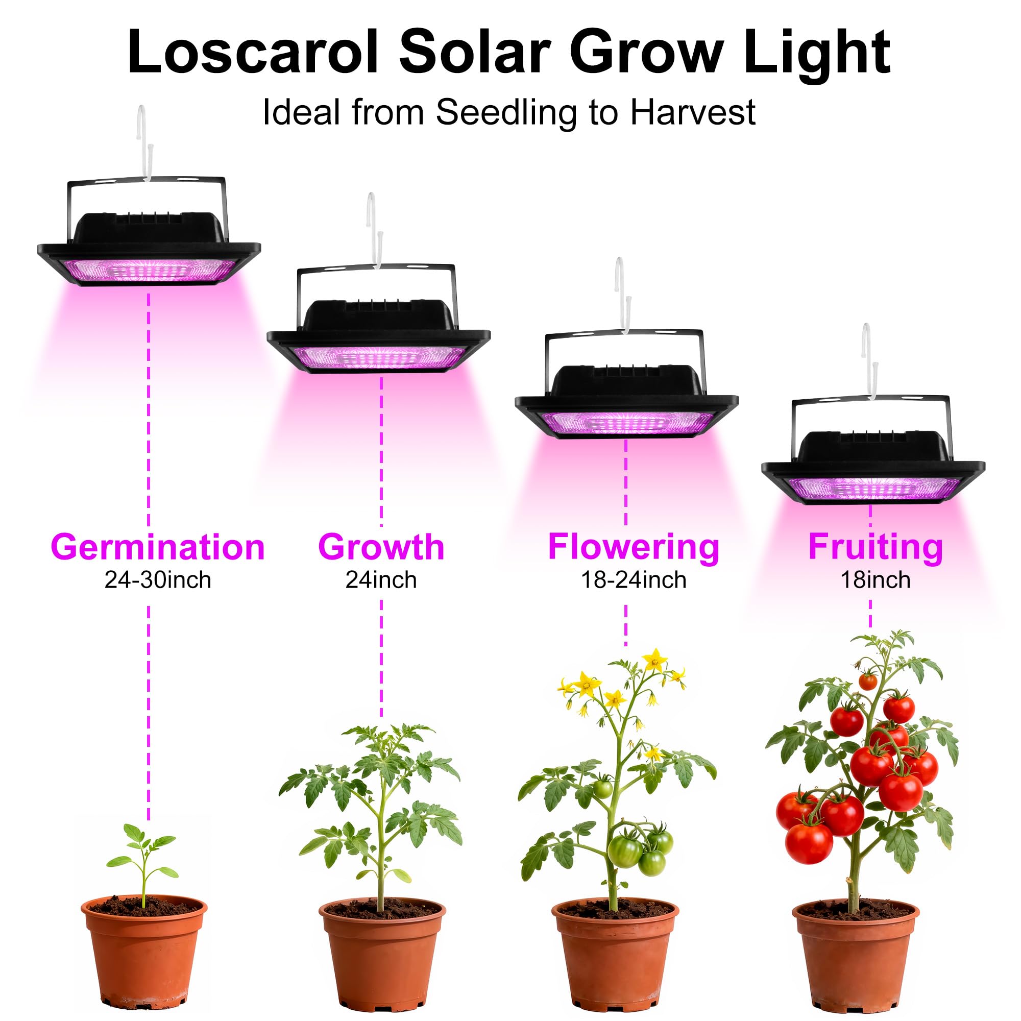 Loscarol solar grow-light suitable for greenhouse, patio, and balcony setups.
