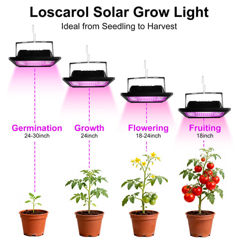 Loscarol solar grow-light suitable for greenhouse, patio, and balcony setups.