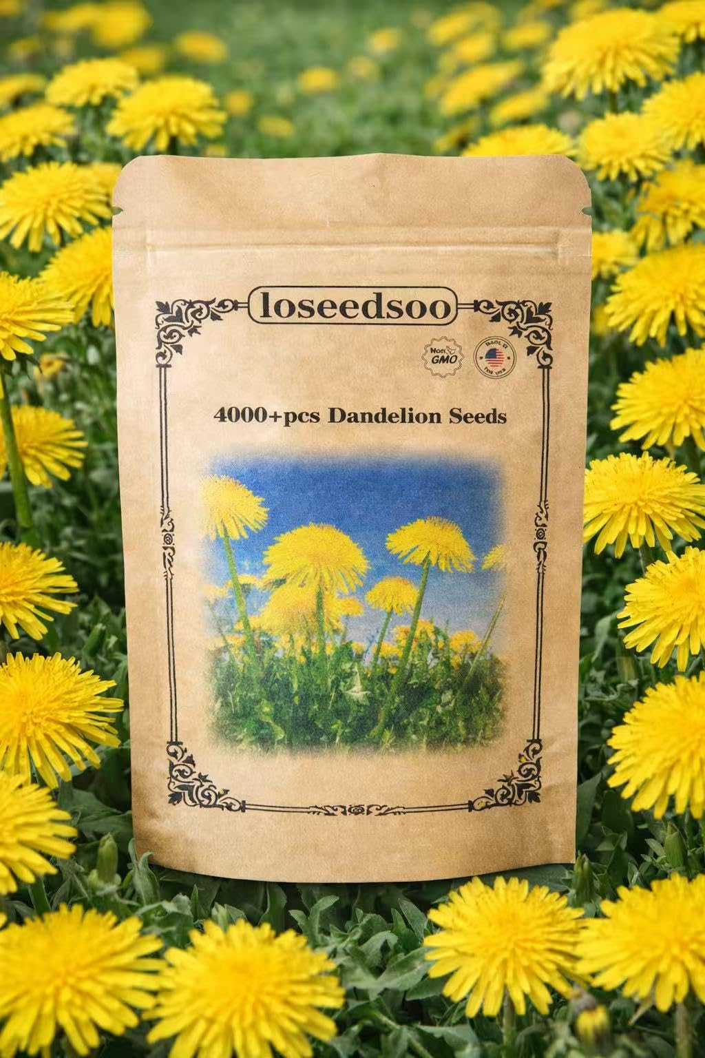 Loseedsoo dandelion seeds value pack front view ready for planting.