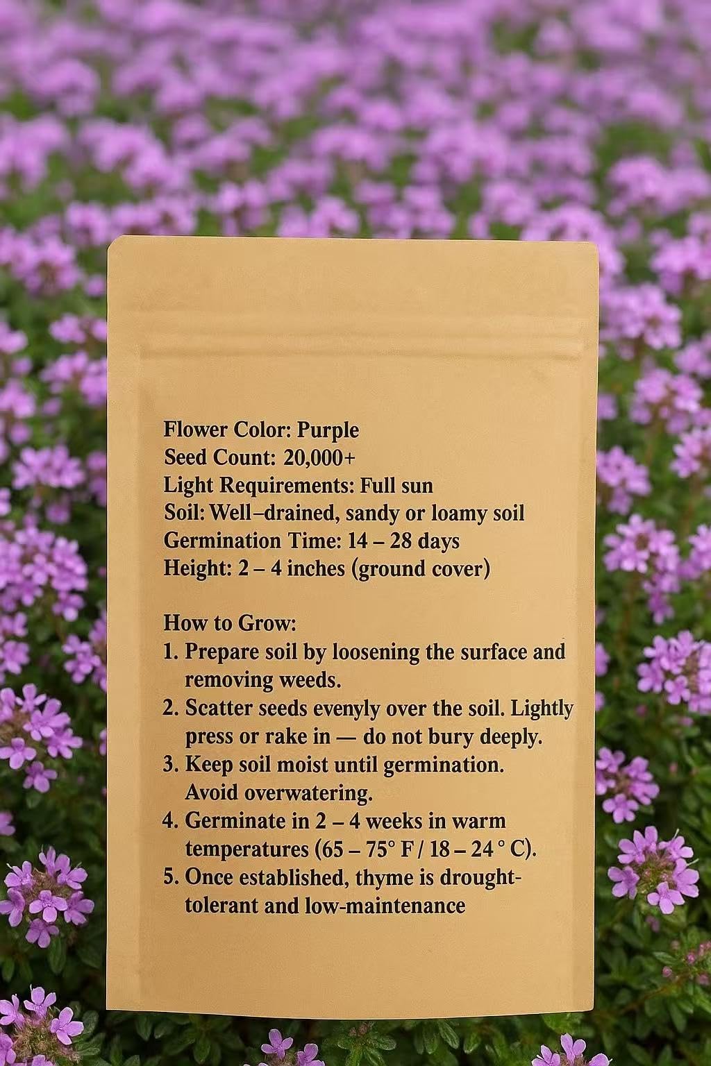 Loseedsoo Purple Creeping Thyme thrives in full sun with low water