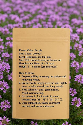 Loseedsoo Purple Creeping Thyme thrives in full sun with low water