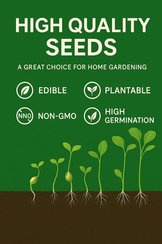 Loseedsoo Green Purslane seeds in a container for easy growing