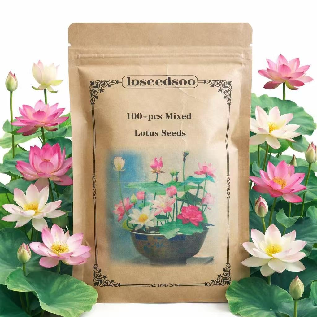 Loseedsoo mixed lotus seeds pack ready to create a vibrant water garden for ponds and bowls.