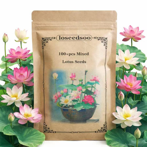 Loseedsoo mixed lotus seeds pack ready to create a vibrant water garden for ponds and bowls.