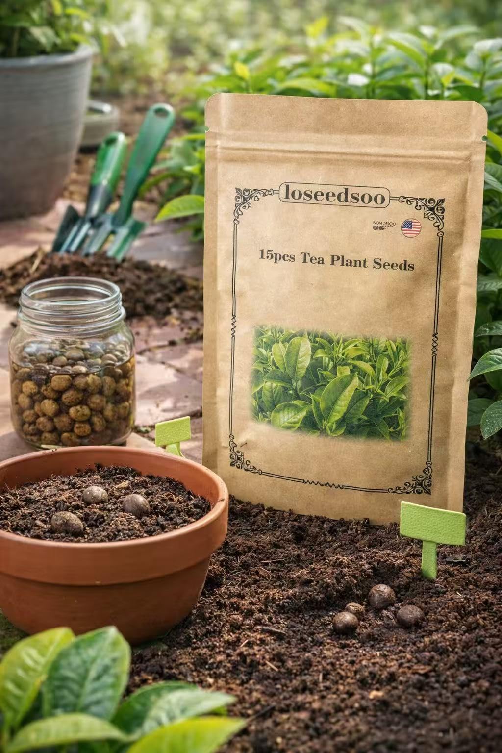Loseedsoo tea plant seeds sowing guide helps beginners plant with confidence