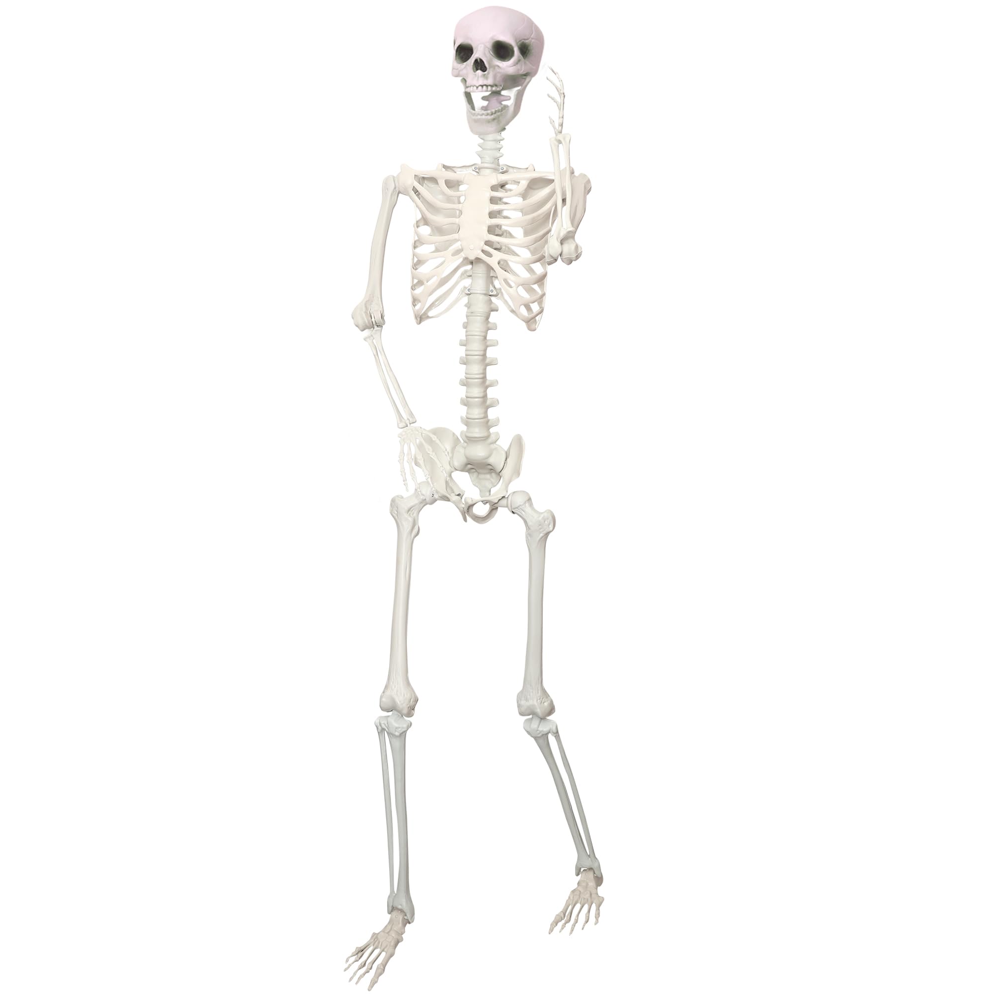 LOSFOTBO 5.9ft life-size skeleton with poseable joints for versatile Halloween display