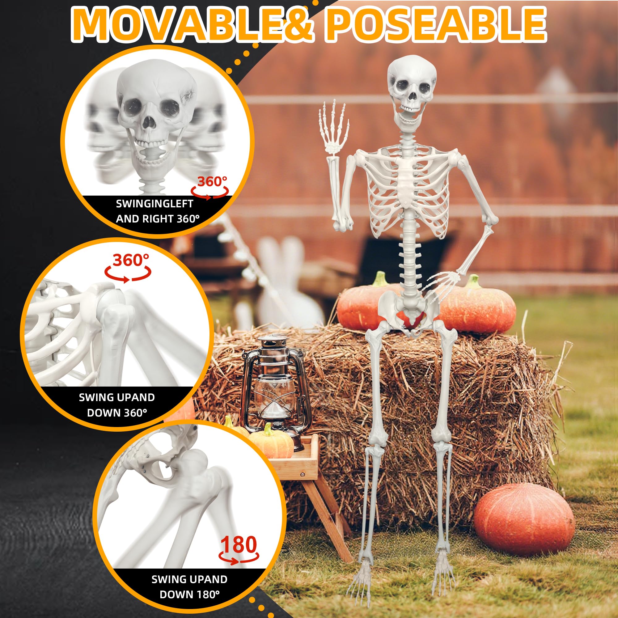 LOSFOTBO front yard display with realistic skeleton silhouette