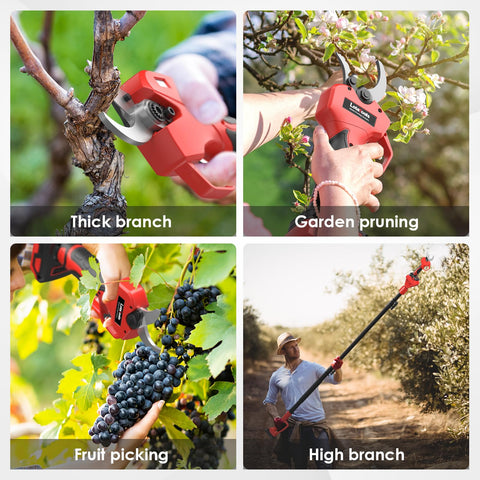 LotaTools pruner is suitable for gardens, parks, farms, and greenhouses.