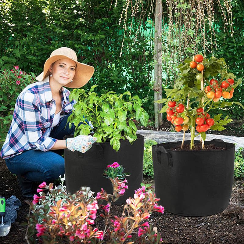 LotFancy 10-gallon pot dimensions 16.1 in diameter by 11.8 in height.