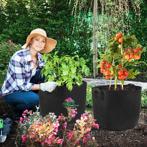 LotFancy 10-gallon pot dimensions 16.1 in diameter by 11.8 in height.