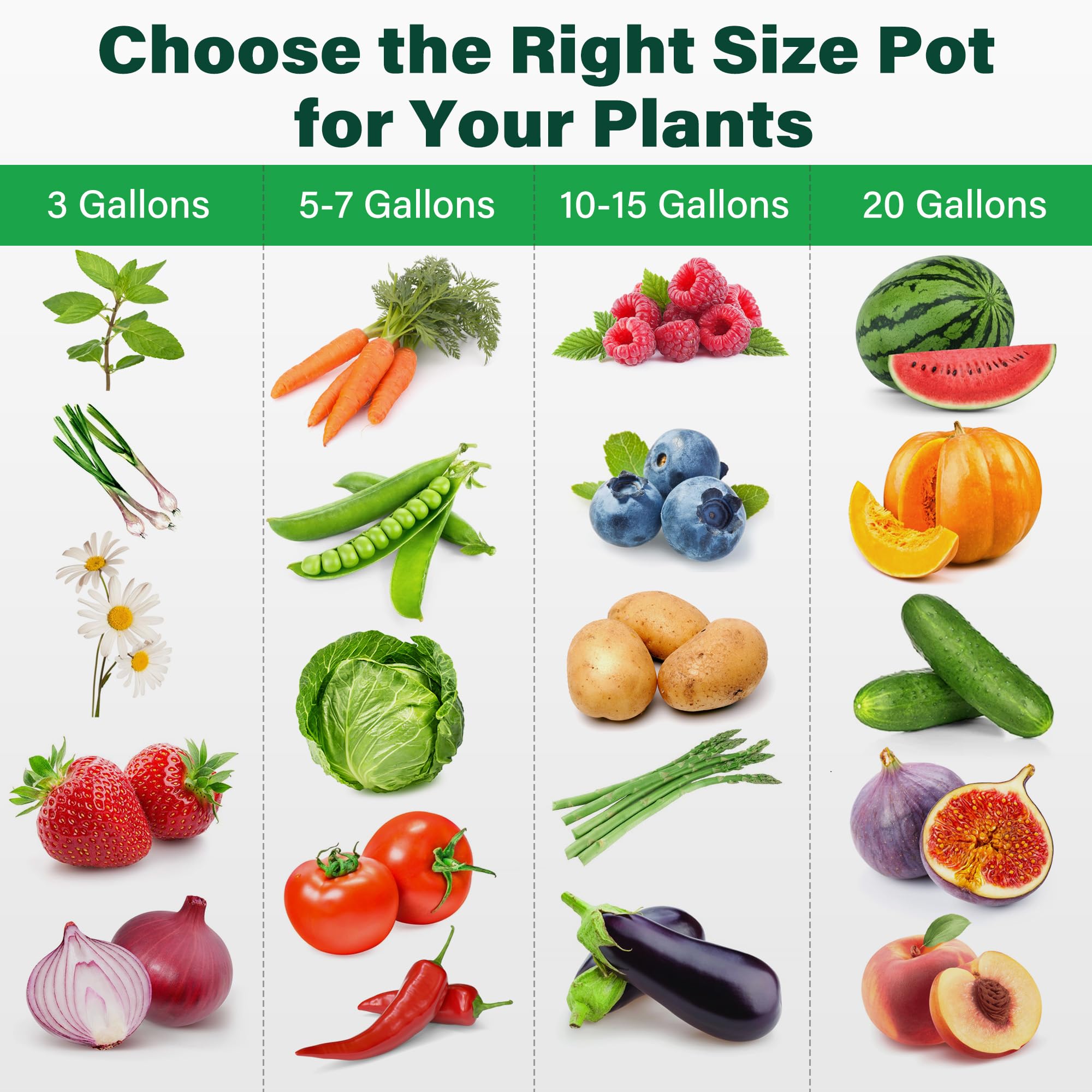 LotFancy compact grow bag with 12.6-inch diameter and 9.8-inch height.