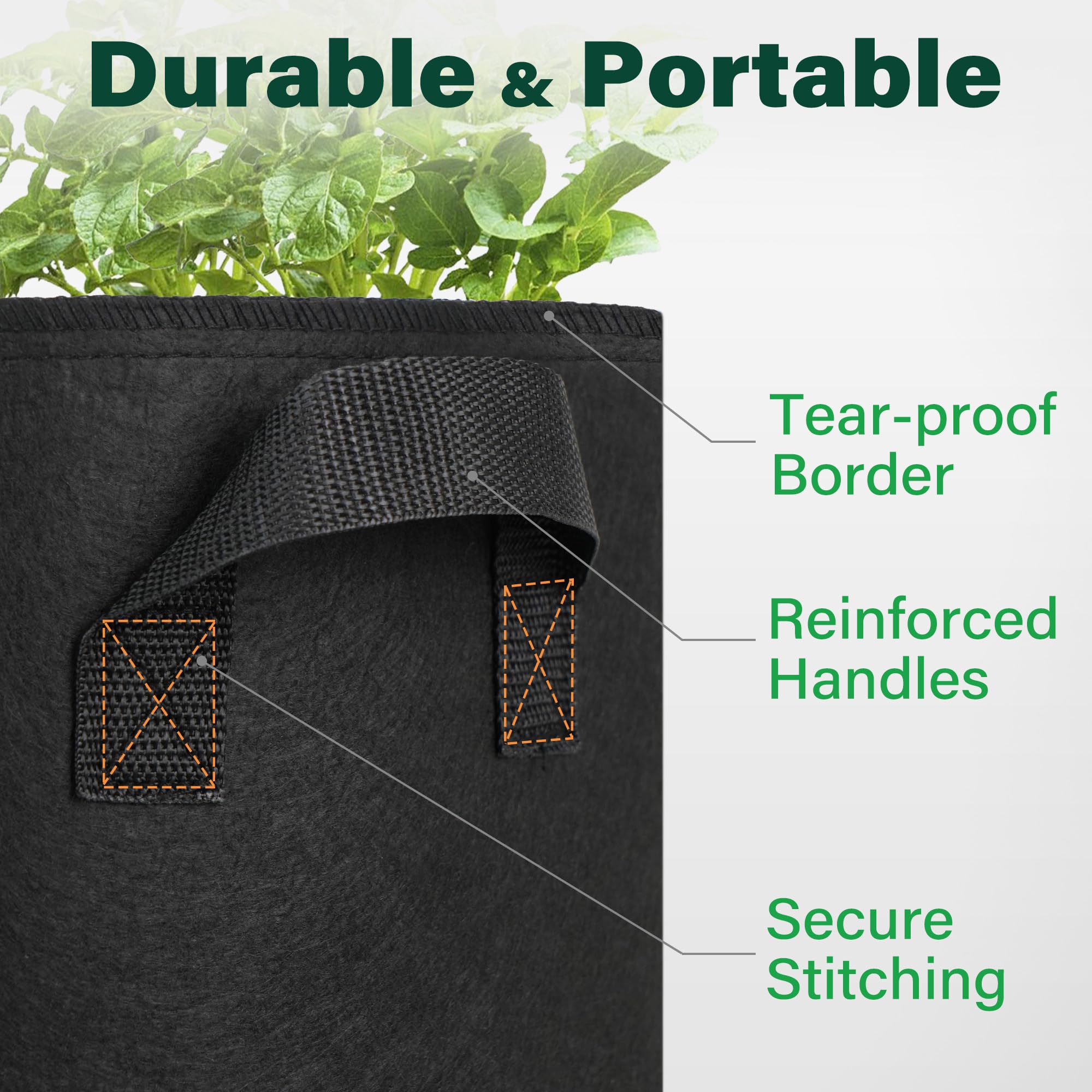 Breathable sides of LotFancy bags promote healthy roots