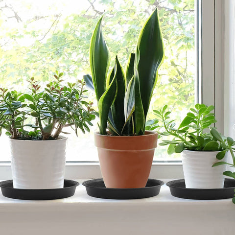 LotFancy saucer bottom with anti-skid grooves for stable placement under pots.
