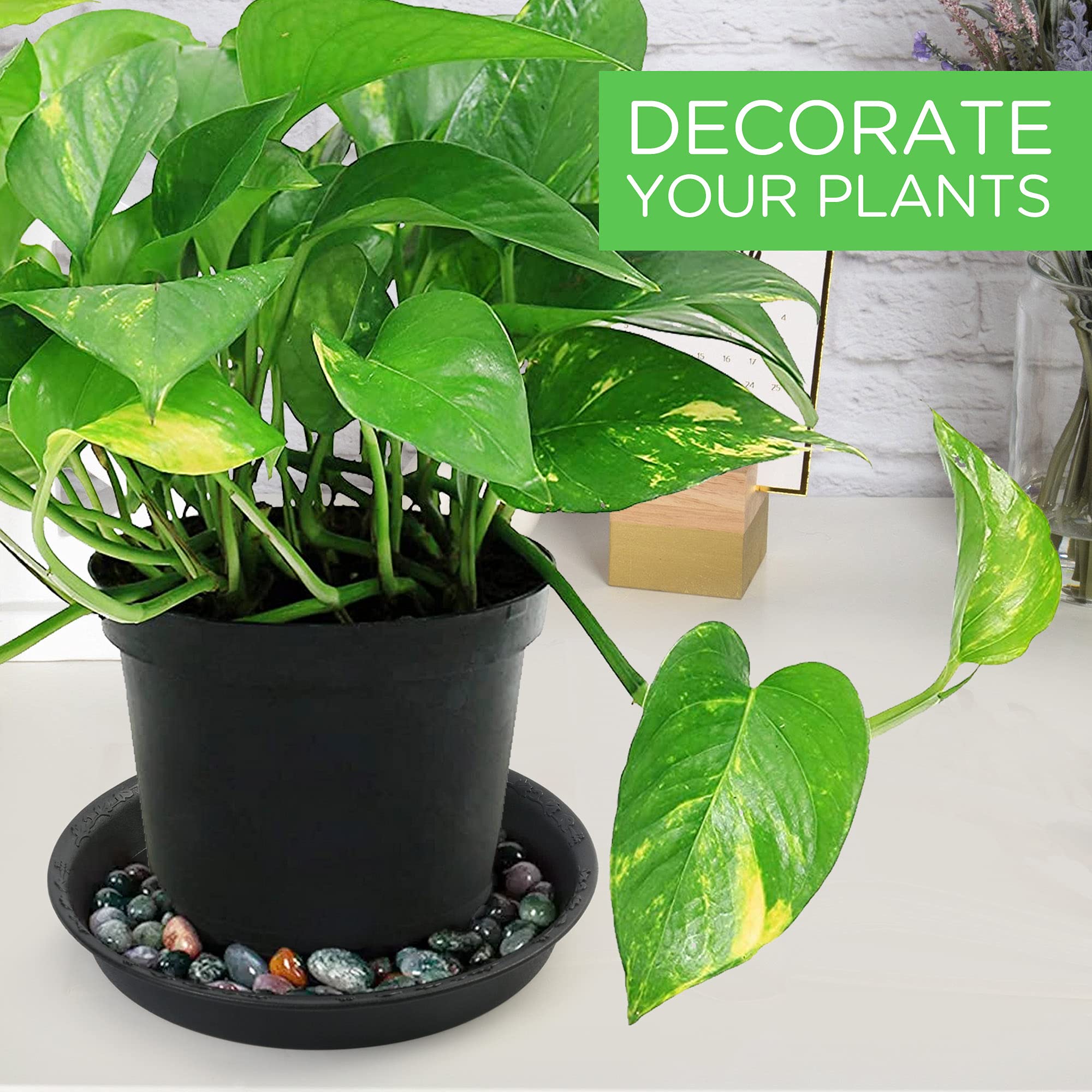 LotFancy washable reusable plant saucer keeps pots tidy and mess-free.