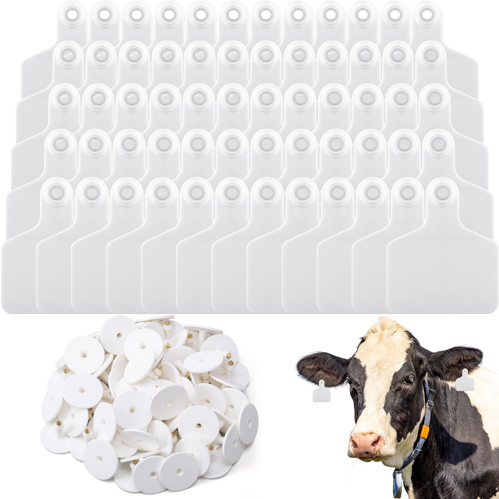 Lothee blank cattle ear tag with large writing area for easy record-keeping.