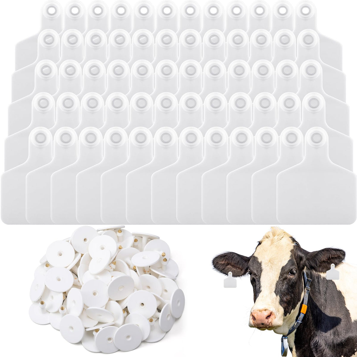 Lothee blank cattle ear tag with large writing area for easy record-keeping.