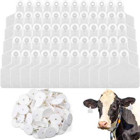 Lothee blank cattle ear tag with large writing area for easy record-keeping.