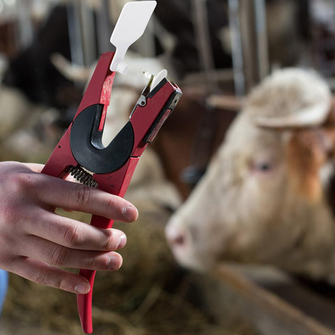 Lothee cattle ear tag set suitable for multiple farm species.