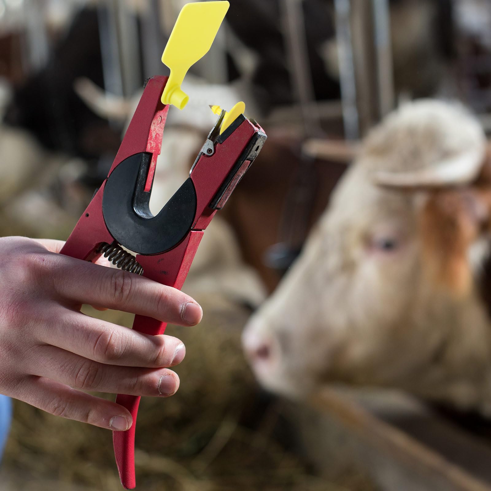 Lothee farm management ear tags bundle supports organized animal records.