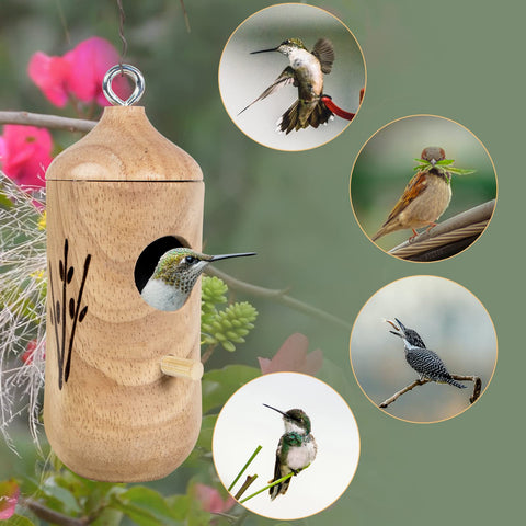 LOTKEY hummingbird house shows mixed woods for durable, breathable nesting sites.