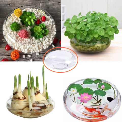 Lotus Bowl Planter on a desk enhances home decor subtly