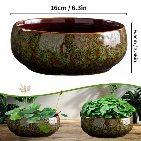 Lotus Bowl Planter lets you create serene aquatic or succulent displays.